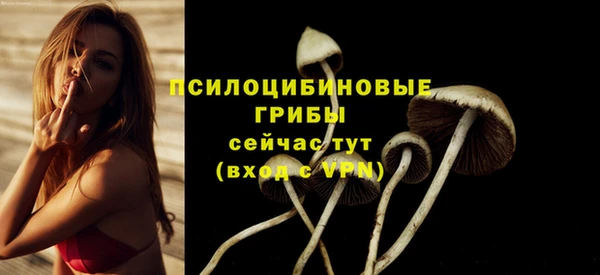 твердый Балахна