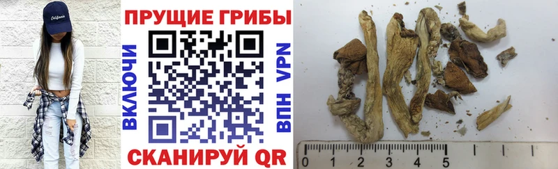 Псилоцибиновые грибы мухоморы  Купить  Морозовск 